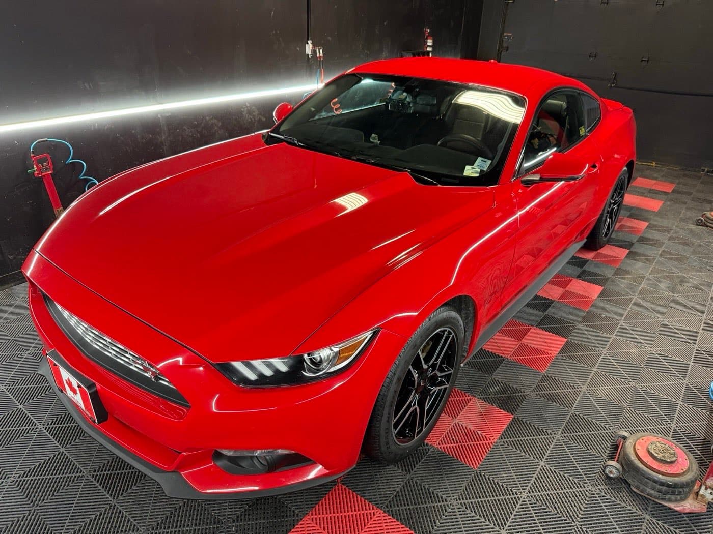 Deep gloss on a red Ford Mustang's hood after a ceramic coating at PitStop & Go